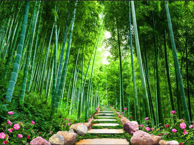 Tranh dán con đường