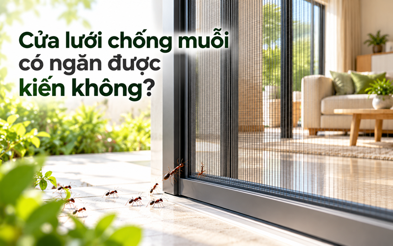 Cửa lưới chống muỗi có ngăn được kiến không