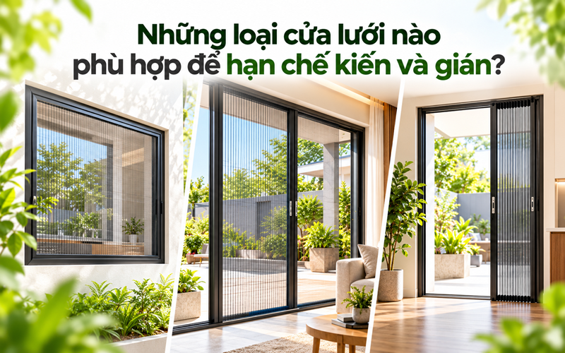 Những loại cửa lưới nào phù hợp để hạn chế kiến và gián