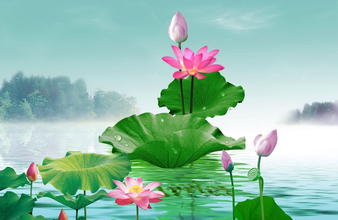 Tranh Hoa Sen H 313