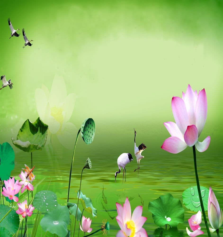 Tranh Hoa Sen H 83 bo chu