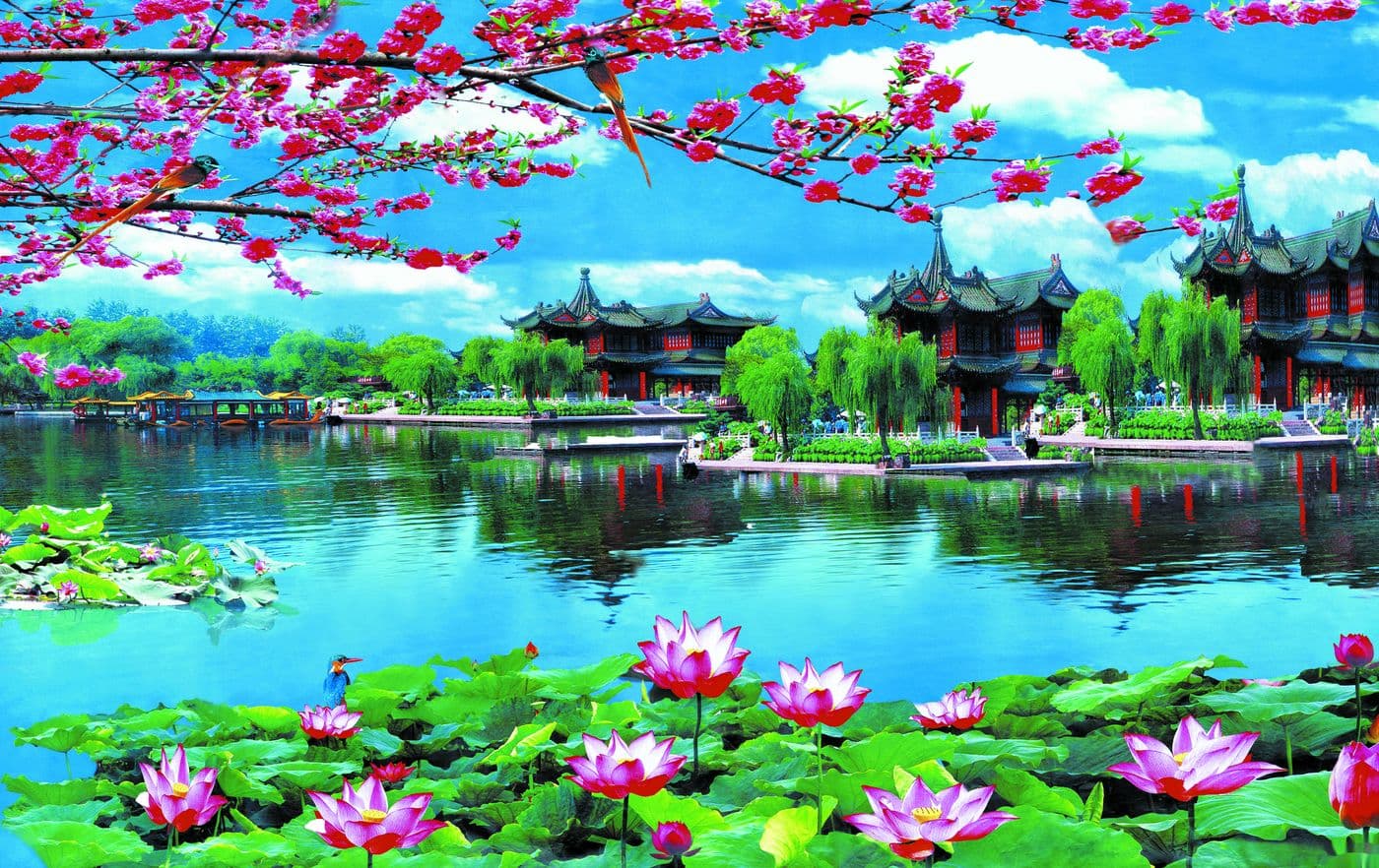 Tranh Hoa Sen H 82
