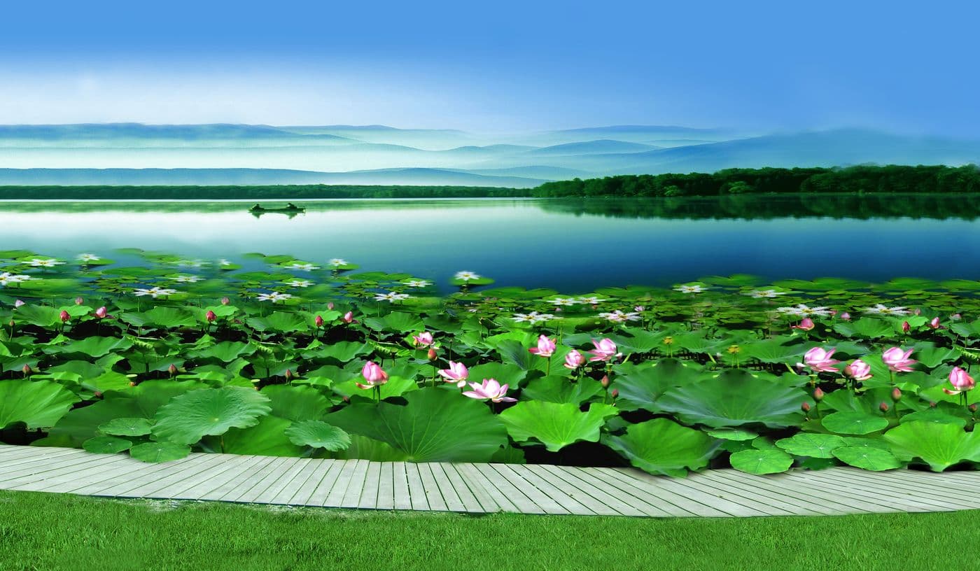Tranh Phong Cảnh 054TPC