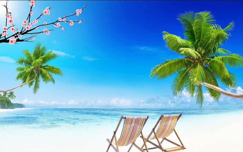 11196 – Tranh Cảnh Biển